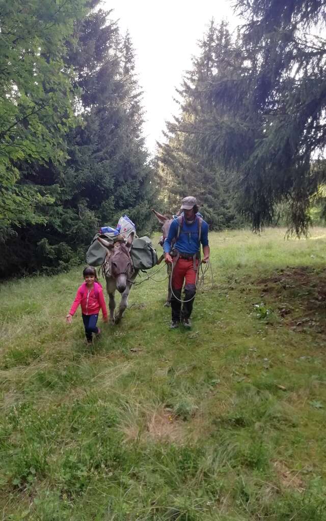 Florent Armand - accompagnateur en montagne - rando avec les ânes