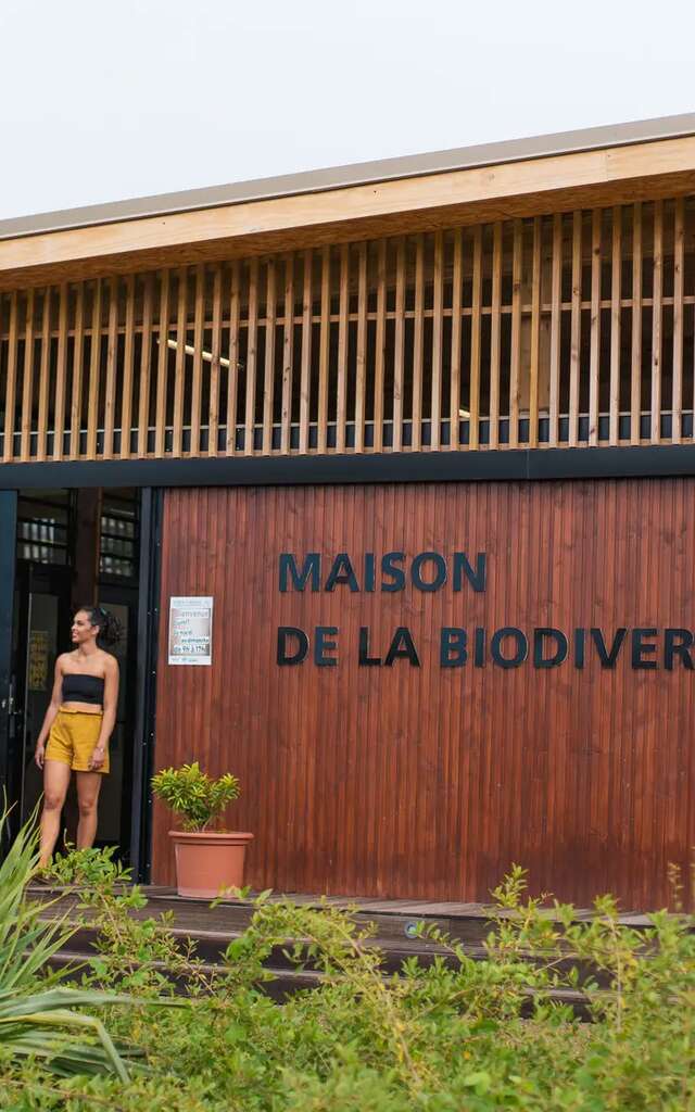 Plantation écocitoyenne au Parc Urbain de Sainte-Marie