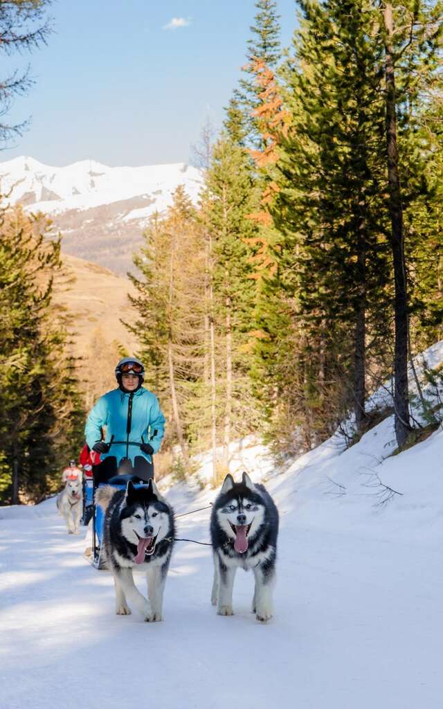 Conduite d'un traineau 1/2 Journée