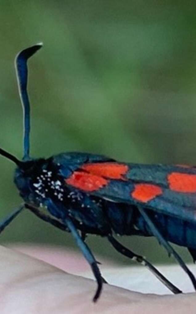 Ventoux Nature&Terroir