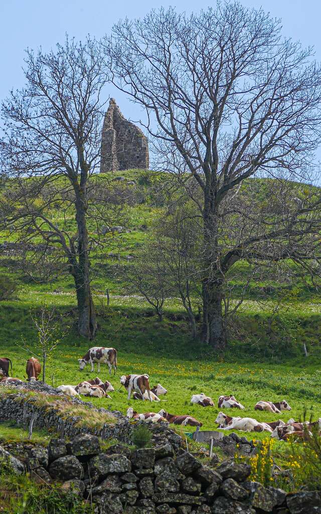 Séjour 2 jours - Rando campagne, en famille, nuit à la ferme