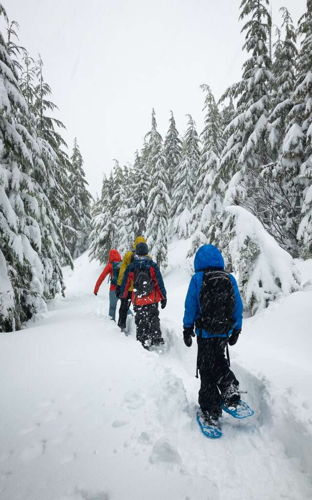 Après-midi raquettes