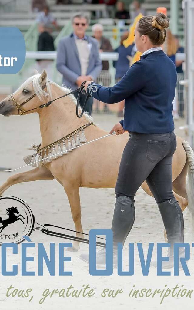 Soirée Scène Ouverte - classe spectacle Championnat de France du Cheval Miniature