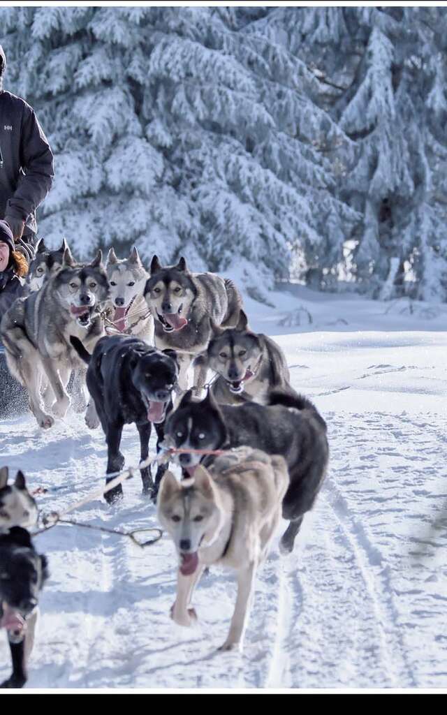Auvergne Traîneau - Pertuyzat