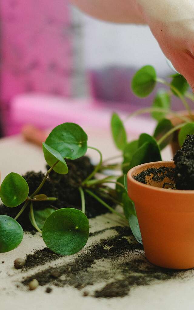 Atelier "Mon petit pot de nature"