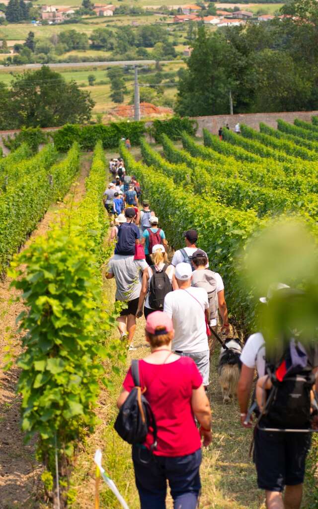 Balade Gourmande en Côte Roannaise