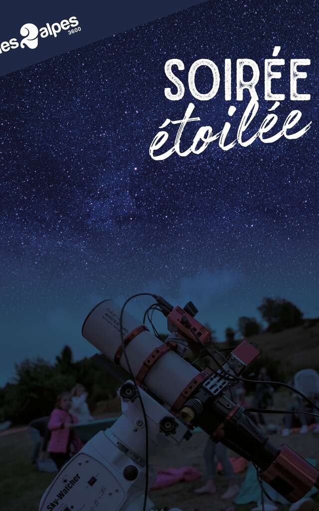 Starry Evening