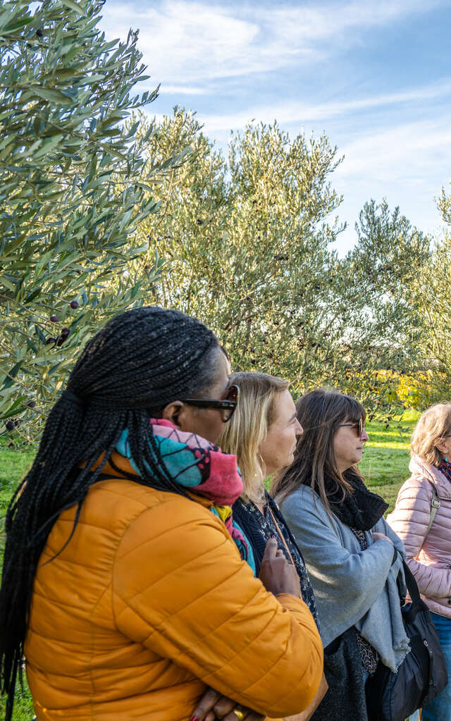 Dégustation d'huile d'olive à la boutique "Les 3 Souquets"