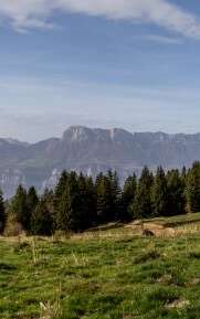 Boucle découverte du Pré de l'Arc