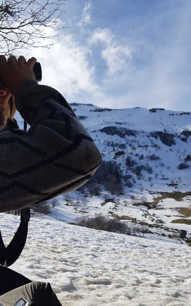 Marcher sur la piste du chat forestier au Pic Pelé