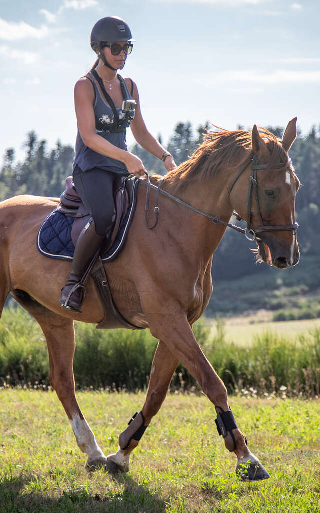 Centre équestre : Ferme de Vovady