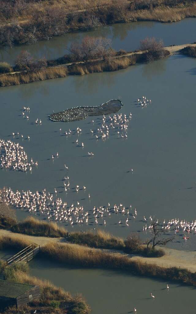 Vogelpark Pont de Gau