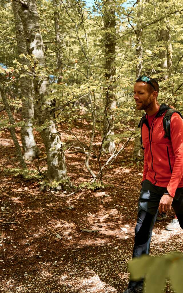 ST-LEGER-DU-VENTOUX - Sentier botanique