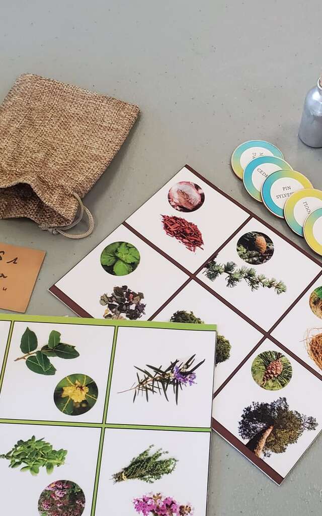 Association l'Eveil de l'Odorat