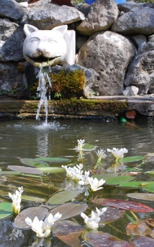 Jardin de l'Argelière