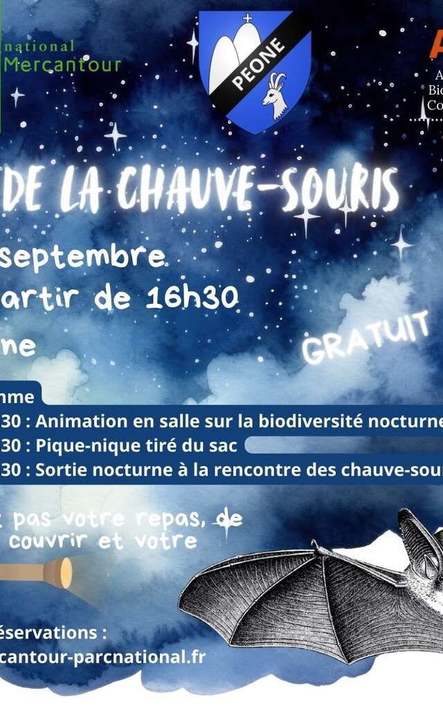 Nuit de la chauve-souris