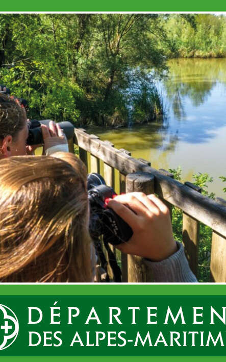 Jeu de piste " l'énigme de la mosaïque mystérieuse "