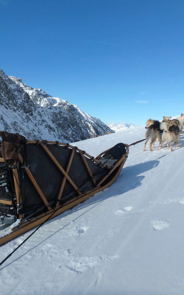 Baptême assis en chien de traineau