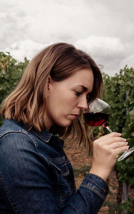 Sur les chemins du vin