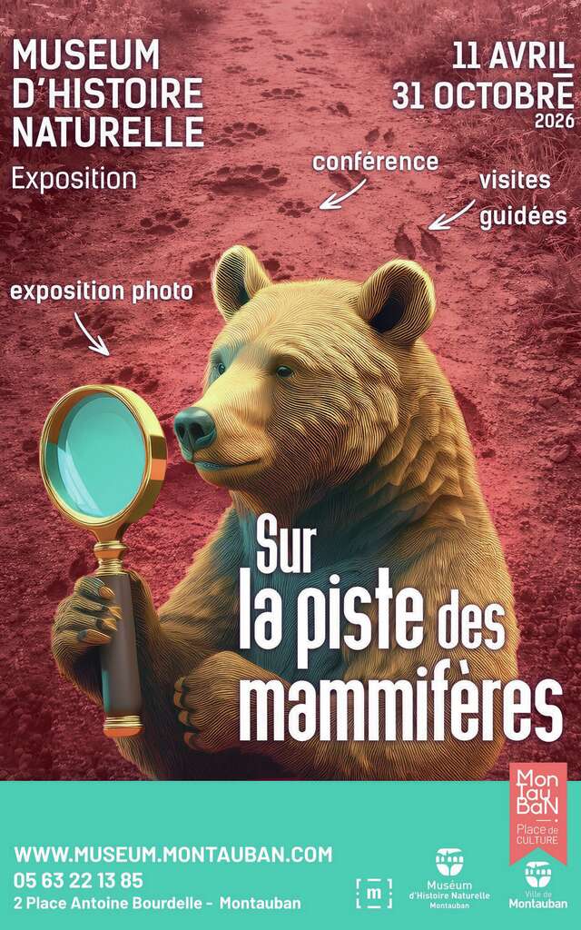 Exposition temporaire Museum Victor Brun - Sur la piste des mammifères
