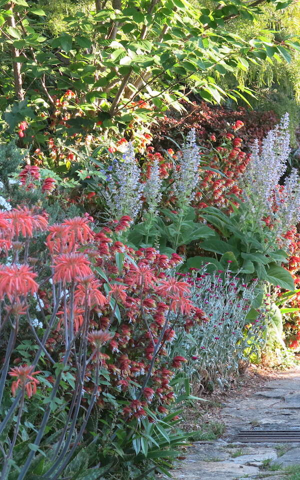 Jardin de la Villa Fort France