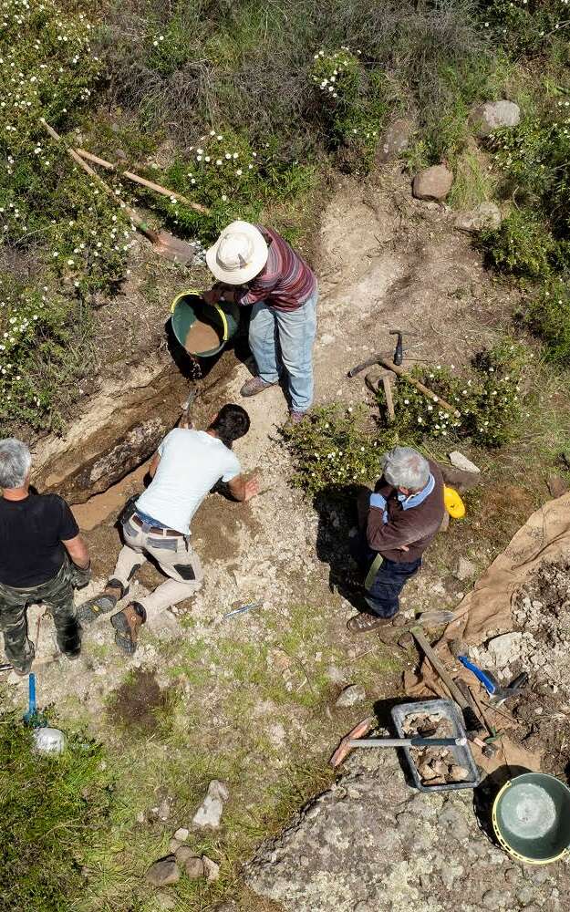Conférence : « Sauvetage d‘un tronc fossile sur le Dôme de Biot /Villeneuve Loubet »