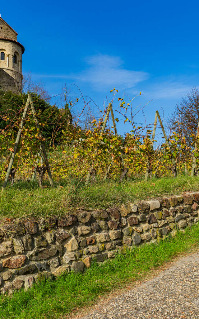 GR® de Pays Côtes du Forez Sud