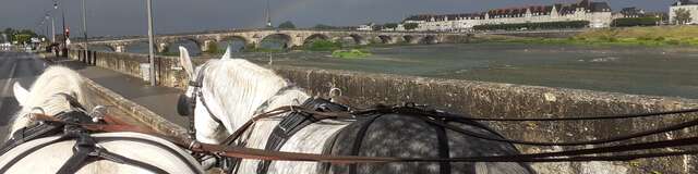 Les Attelages du château