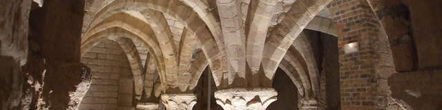 Atelier de Dégustation Sensorielle