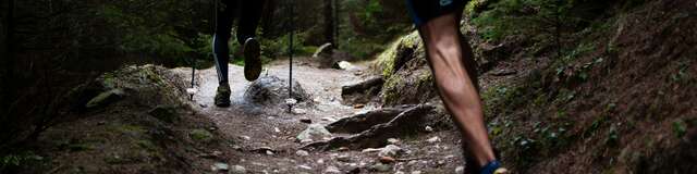 Trail découverte plateau des Lacs