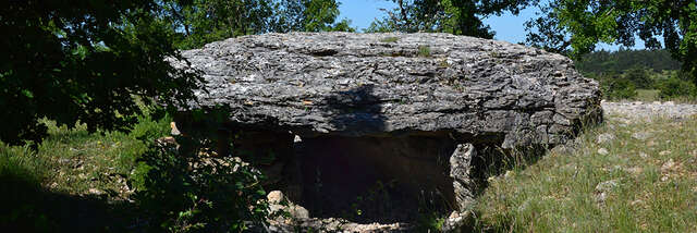 DOLMEN DE CHANGEFEGE