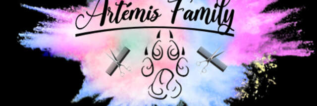 Artémis Family
