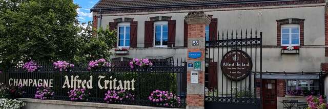 Champagne Alfred Tritant
