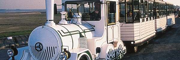 Train aux oiseaux