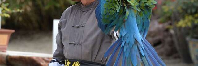 Tropical Parc