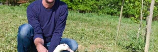 FERME DE LA PATTE D'OIE