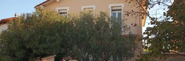 CARDONNE