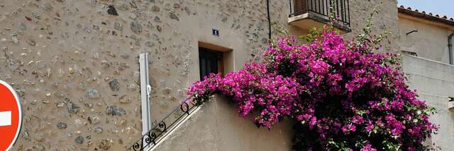 APPARTEMENT N° 1 FROUIN