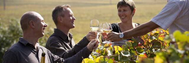 Balade entre vignes et vins