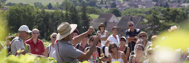 OeNolay tour - Cœur des Hautes Côtes de Beaune