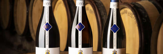 Bouchard Ainé & Fils - Visite des caves & dégustation spéciale Vente des Vins 2025 (9 vins dont 3 Grands Crus) - Beaune