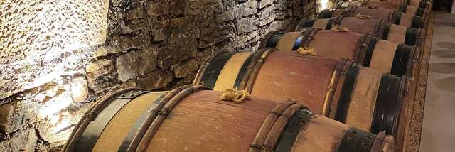 Dégustation musicale aux Caves Saint-Nicolas de la Maison Albert Bichot à Beaune