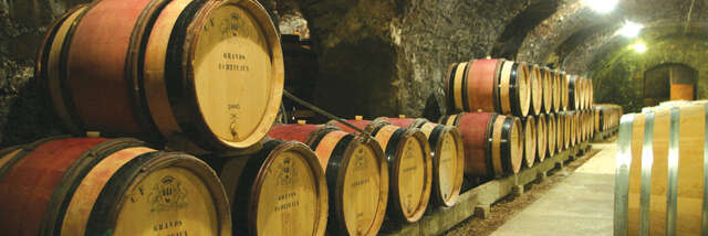 Domaine Henri de Villamont - Vente des vins 2025 - 10 vins, 10 émotions au cœur des caves