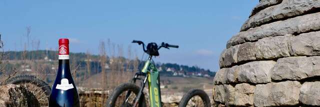Balade dans le vignoble en trottinette éléctrique