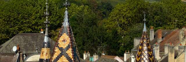 Hôtel-Dieu - Hospices de Beaune
Programmation 2025 - HUMANITÉ
Patrimoine vivant