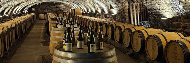 Hôtel-Dieu - Hospices de Beaune 
2026 - MOUVEMENT(S)
[MON HÔTEL-DIEU] Un livre, un vin, un histoire : raconter le territoire bourguignon