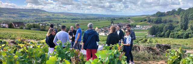 Les trésors cachés du vignoble de Santenay