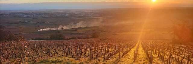 Sur les pas des Climats