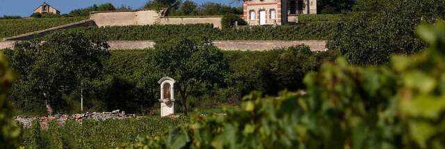 Les Maisons du dimanche : un voyage dans le temps