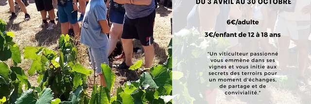 OeNolay tour - Coeur des Hautes Côtes de Beaune